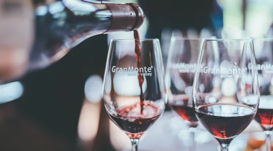 【次回の催行をお楽しみに！】カオヤイワイナリー巡り　PBワイナリー + グランモンテワイナリーでテイスティング